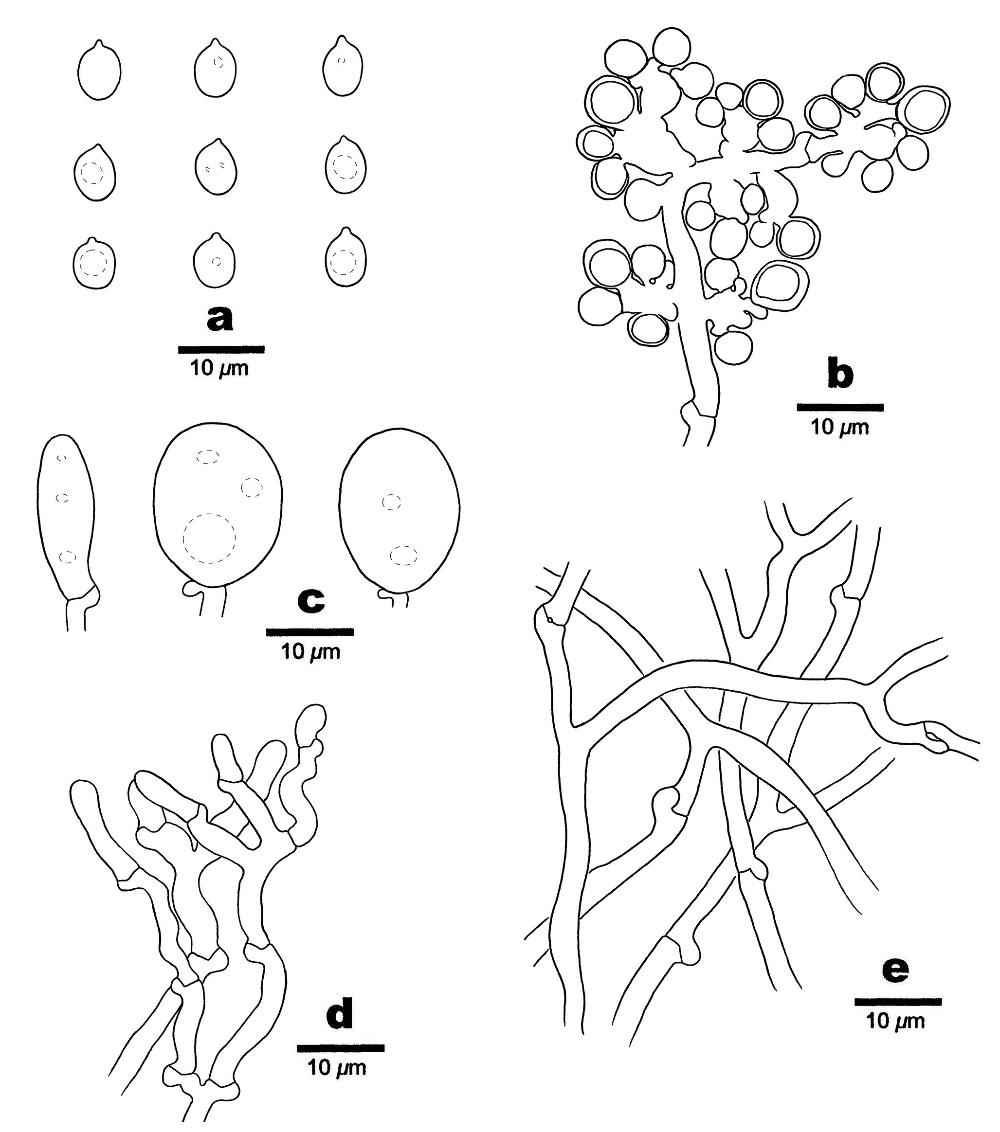 Figure 69